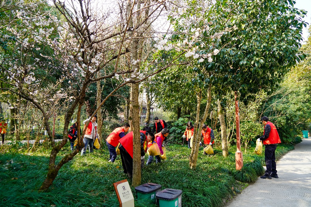 DSC09862-1.jpg